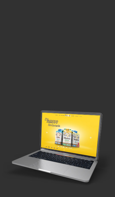 Desarrollo de sitios web para pymes.